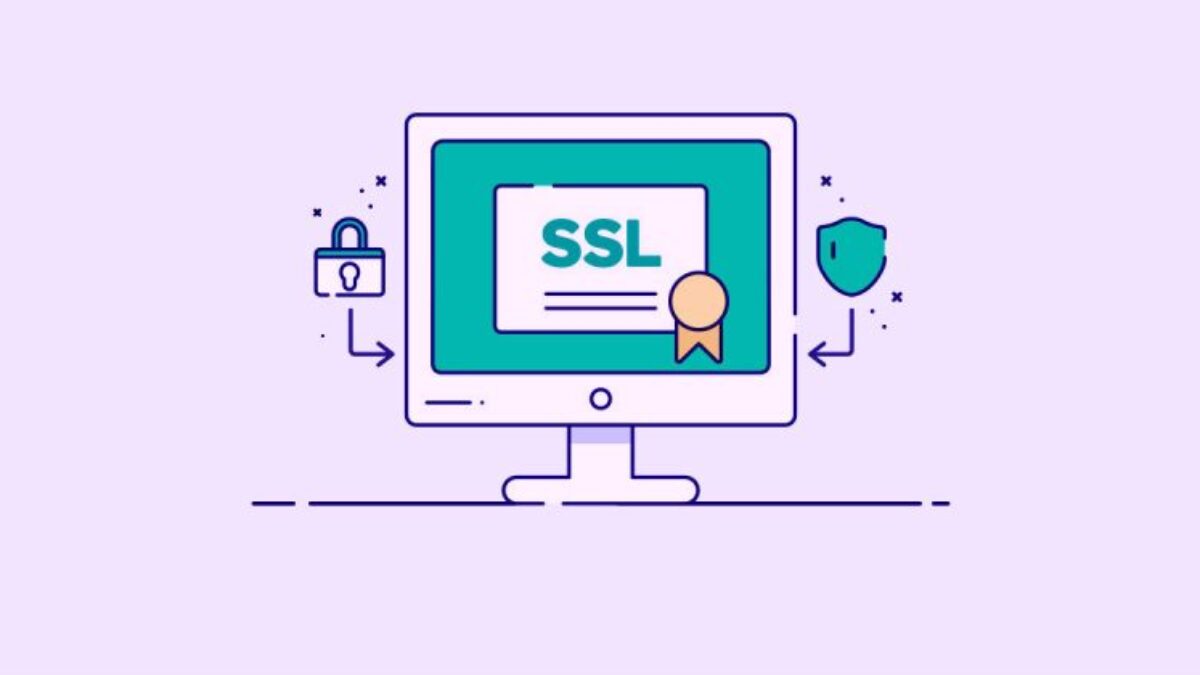 Web Site Güvenliğinizi Nasıl Sağlıyorsunuz?